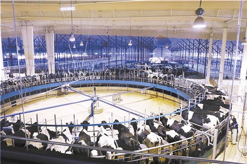 經濟日報多媒體數(shù)字報刊