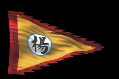 帥旗通道帥旗通道AE模板下載_光廠(VJ師網)